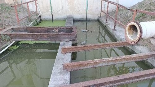 Detectan suciedad y fauna muerta en filtros del río
