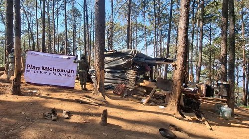 Caen 12 presuntos delincuentes en operativos en Michoacán