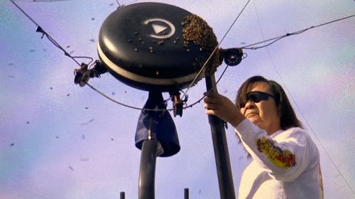 Suspenden partido de tenis por ¡Invasión de abejas!