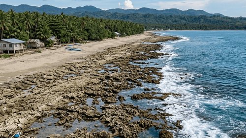 Eleva terremoto el fondo marino y expone corales en Filipinas