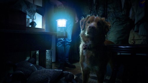 Protagonista de 'Good Boy' busca ser nominado para el Oscar