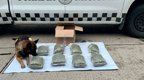 Decomisan 70 kilos de metanfetamina en paquetería ubicada en AIFA
