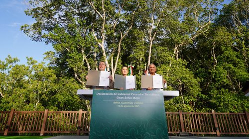 México, Guatemala y Belice crean corredor de la Gran Selva Maya
