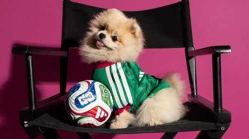 Lanzan colección de jerseys mundialistas… ¡para mascotas!