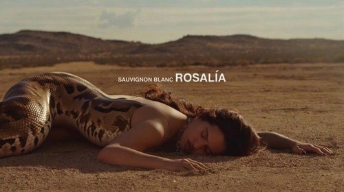 'Sauvignon Blanc': Rosalía presenta su nuevo videoclip