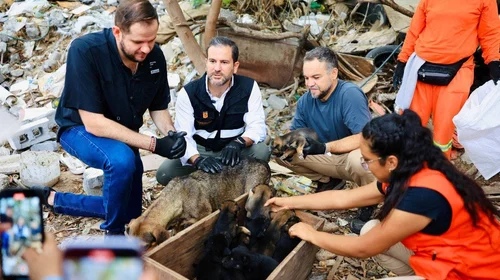 Inicia 'Leones en Acción' rescatando 10 perros y limpiando el Río