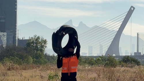 Leones en Acción llega a 45 toneladas de basura retiradas del río