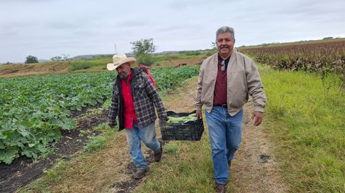 Envejecimiento y falta de relevo generacional amenazan al campo