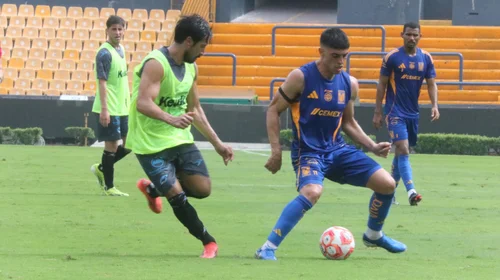 ¡Afila sus garras! Tigres derrota a la Jaiba Brava en amistoso