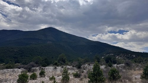 Brigadas contienen conatos en la sierra de Arteaga