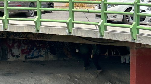 Hallan cuerpo en arroyo junto al Centro Metropolitano
