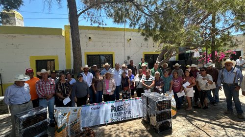Aves de traspatio fortalecen producción en Ramos Arizpe