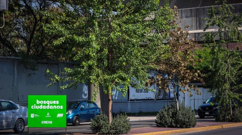 Avanza NL con reforestación en la Explanada y Línea 1 del Metro