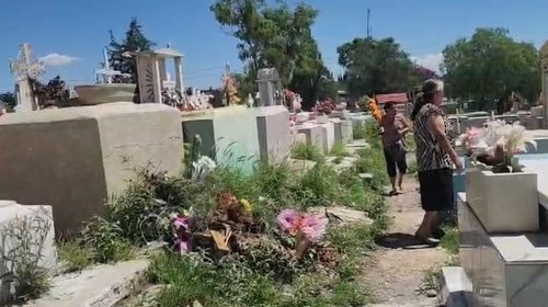 Piden respetar a las abejas tras incidente en panteón
