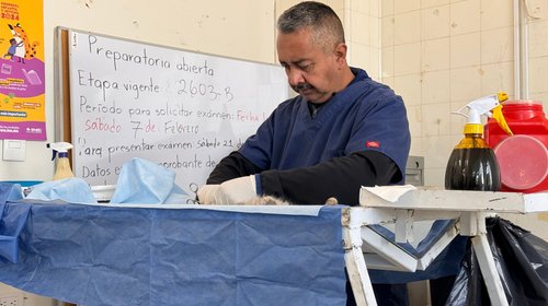 Aumentan los casos de esterilización en mascotas en Ramos Arizpe 