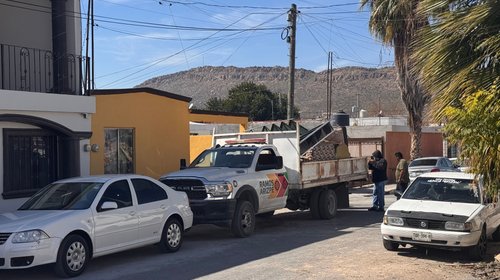 Destruye municipio mobiliario por rickettsia en Ramos Arizpe