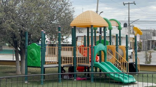 Investigan parque como posible foco de rickettsiosis