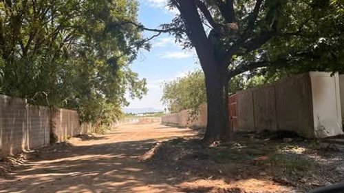 Tala de nogal en Saltillo genera inconformidad vecinal
