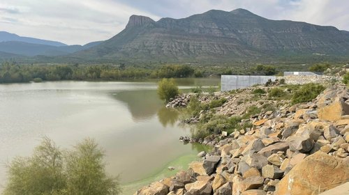 Alertan por cocodrilos en presa Palo Blanco en Ramos Arizpe