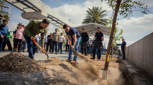 Pintan de verde la ruta mundialista: Plantan 5,000 árboles