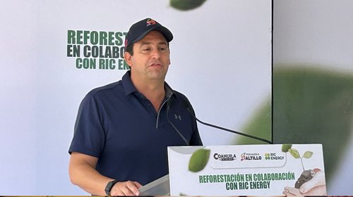 Plantarán 5 mil pinos en el Cañón de San Lorenzo