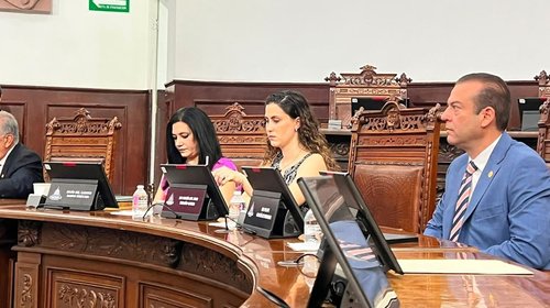 Proponen reconocer el servicio social como experiencia laboral
