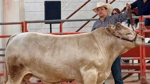 Rancho La Viga hace historia en el Becerro Gordo de Saltillo