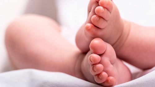 Registran a bebé como 'Chat Yipiti' inspirados en la IA ChatGPT