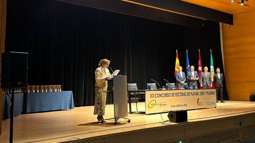 Reconocen a Monterrey con premio internacional de limpieza