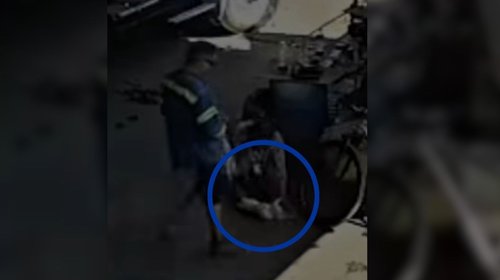 Cae sospechoso de matar a un gato en Apodaca: Medio Ambiente
