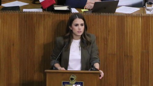 Aprueban reforma al derecho de autor hecha por Lorena de la Garza