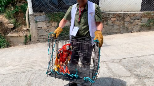 Realiza Profepa operativos en 41 áreas naturales protegidas