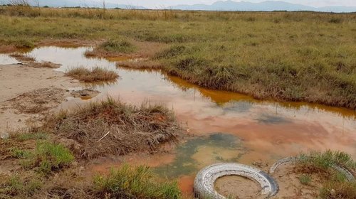 Fundación difunde imágenes del Río Mezquites tras polémica