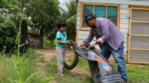 Perú emite alerta ante incremento de casos de dengue