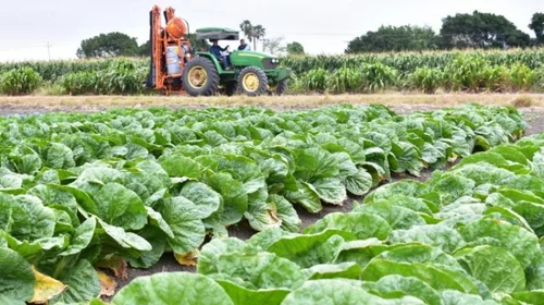 Tamaulipas lidera crecimiento nacional en actividades primarias