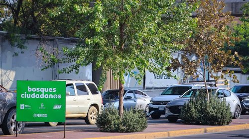 Reforestación Extrema anuncia auditoría tras cuestionamientos