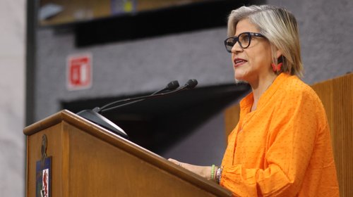 Pide Sandra Pámanes investigación de Next Energy en Nuevo León