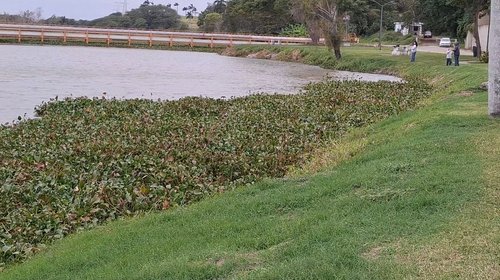 Buscan sanear ríos y lagunas de Tamaulipas con Proyecto Génesis