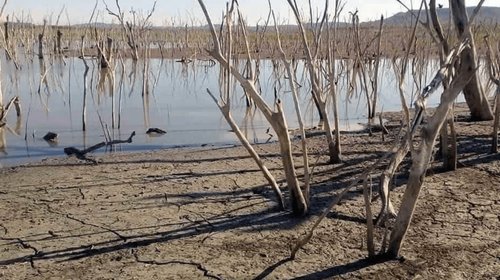 Llaman autoridades de Nuevo Laredo a cuidar el agua