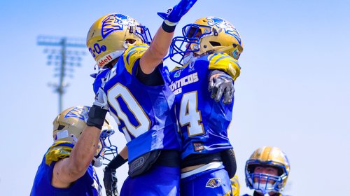 Auténticos Tigres avanza a la final de Categoría Intermedia ONEFA