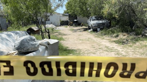 Rescate de 63 perros en Castaños revela presunto caso de abandono
