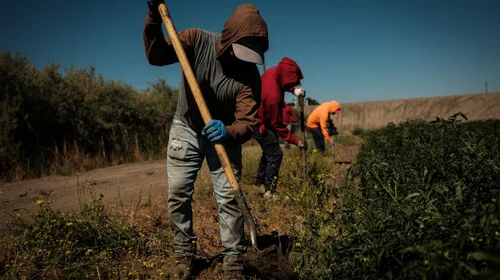 Se vislumbra panorama gris para agricultores en EUA