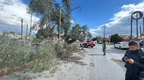 Ráfagas de viento deja cuantiosos daños en Saltillo