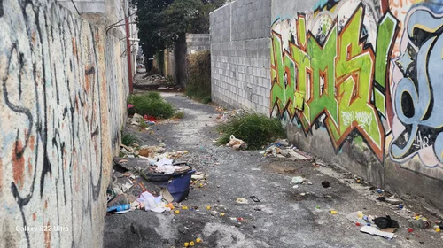 Callejones en Saltillo, foco de suciedad y refugio para maleantes