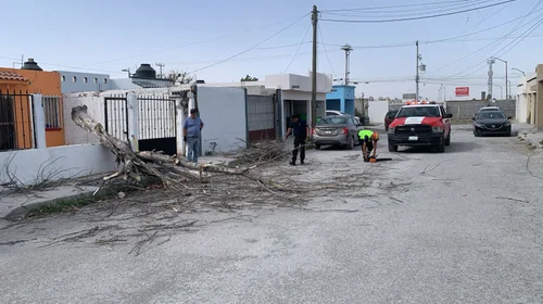 Ráfagas de viento y polvo causan muerte de mujer en región centro