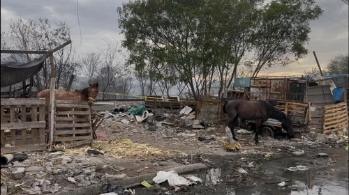 Sofocan incendio en terreno baldío de Guadalupe