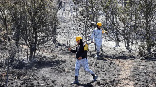 Manolo Jiménez destaca trabajo en equipo para combatir incendios