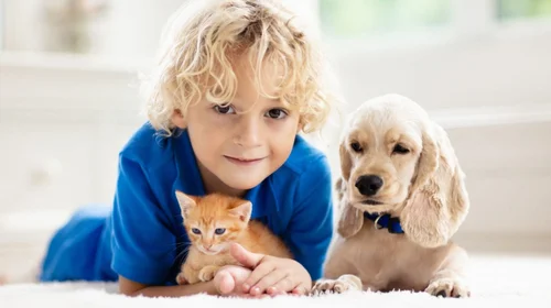 Cuida el bienestar de tu cachorro con vacunas y desparasitación