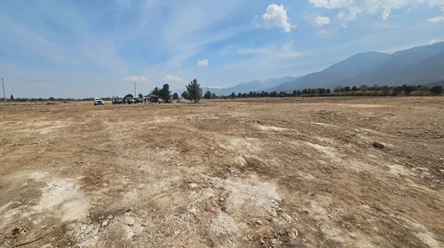 Suspenden actividades de desmonte en el bosque Bicentenario