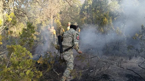 Controlan incendio forestal en ejido 'El Diamante'